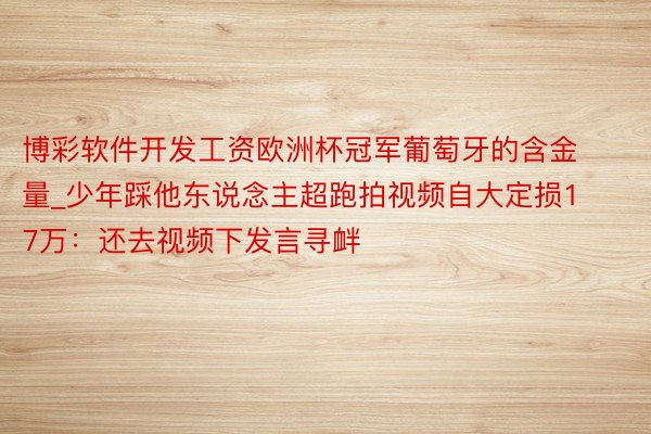 博彩软件开发工资欧洲杯冠军葡萄牙的含金量_少年踩他东说念主超跑拍视频自大定损17万：还去视频下发言寻衅